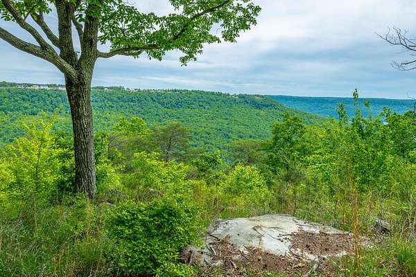1.52 Acres of Residential Land for Sale in Jasper, Tennessee