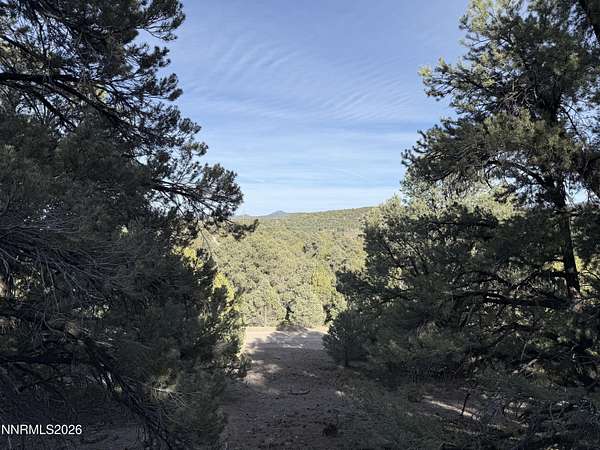 1.22 Acres of Land for Sale in Reno, Nevada