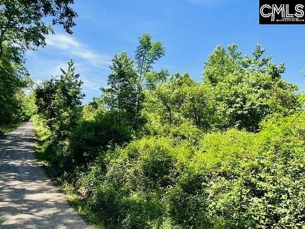 31 Acres of Recreational & Residential Land for Sale in Leesville, South Carolina