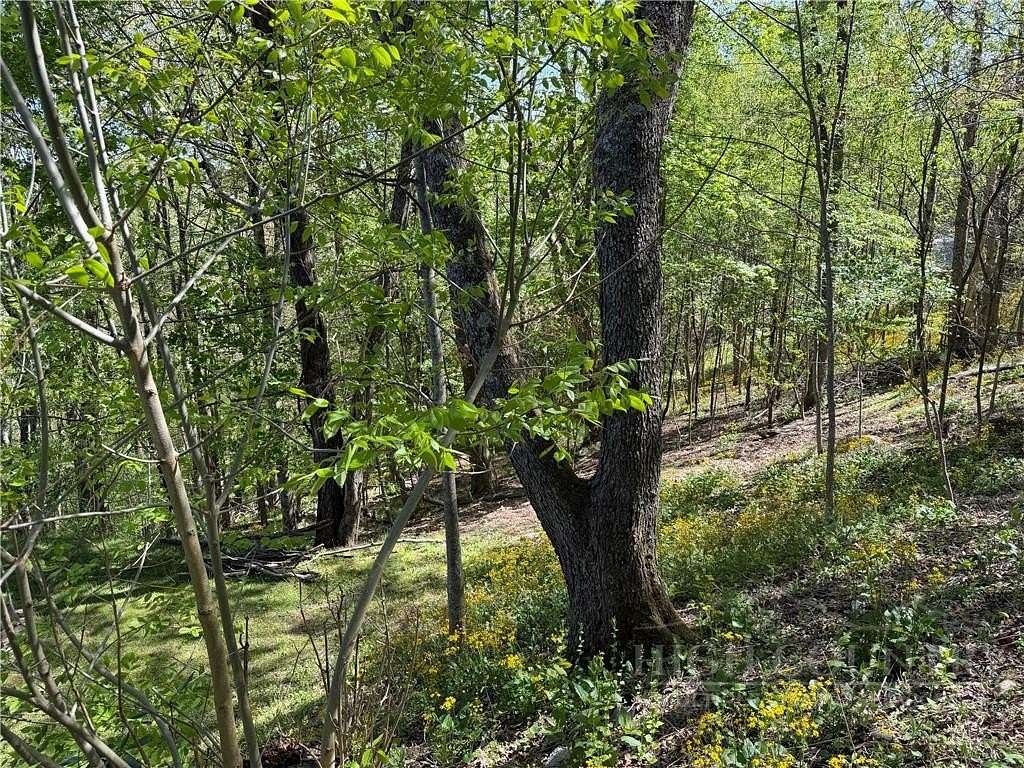 0.6 Acres of Land for Sale in Blowing Rock, North Carolina