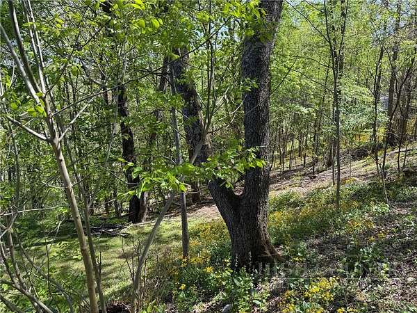 0.6 Acres of Land for Sale in Blowing Rock, North Carolina