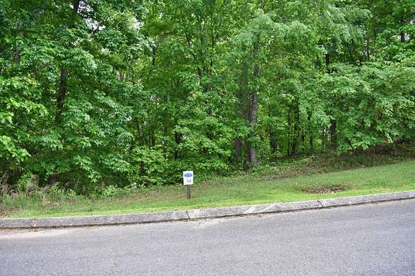 1 Acre of Residential Land for Sale in Spring City, Tennessee