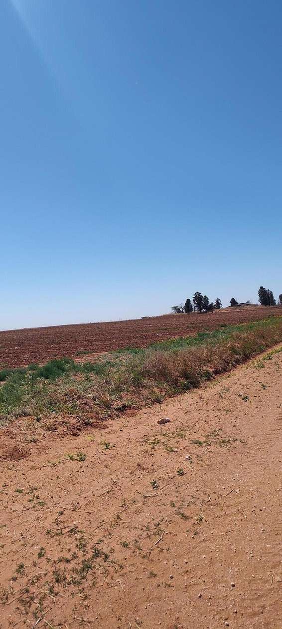 160 Acres of Land for Sale in Meadow, Texas