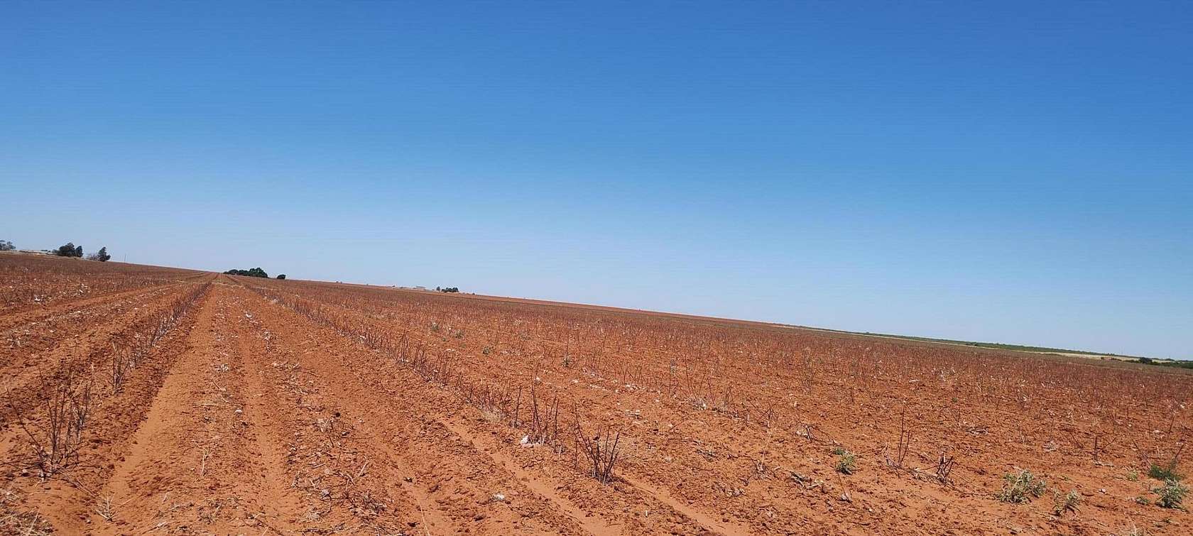 160 Acres of Land for Sale in Meadow, Texas