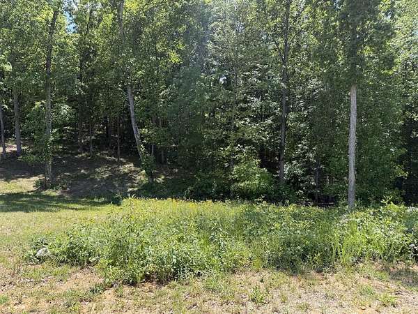 0.61 Acres of Residential Land for Sale in Scottsville, Kentucky