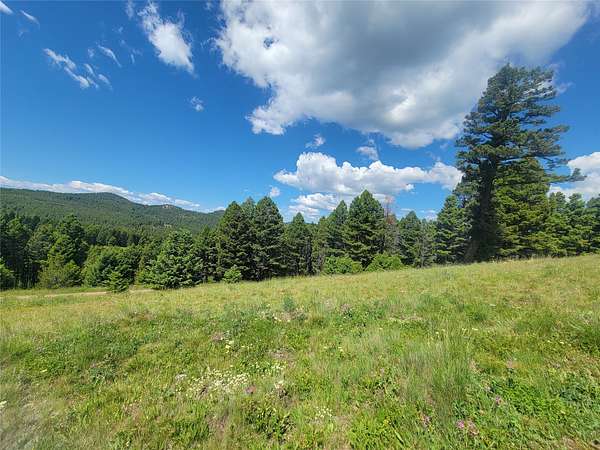 20 Acres of Recreational Land for Sale in Helmville, Montana