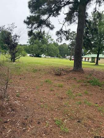 0.37 Acres of Residential Land for Sale in Frankston, Texas