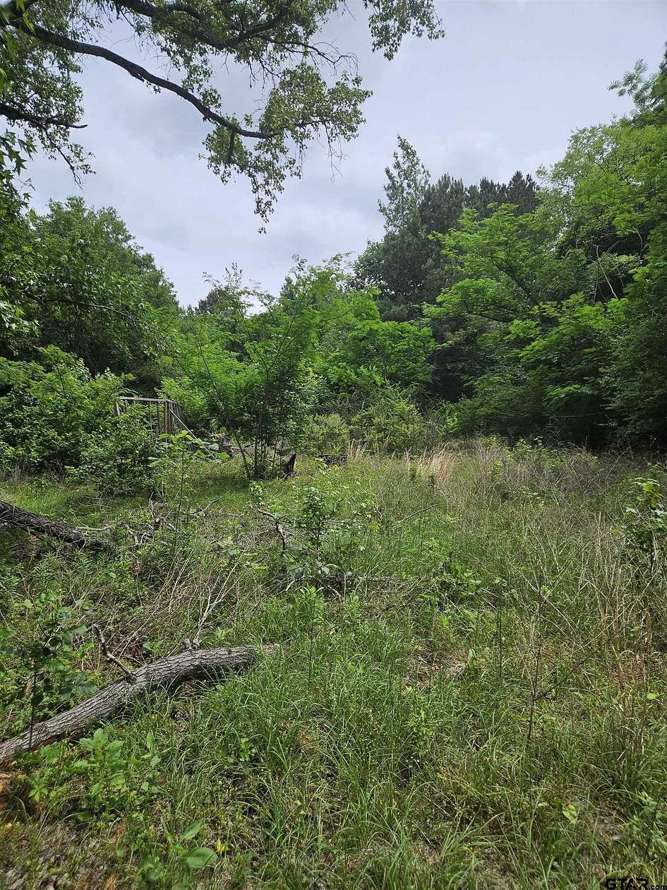 8.84 Acres of Residential Land for Sale in Winona, Texas