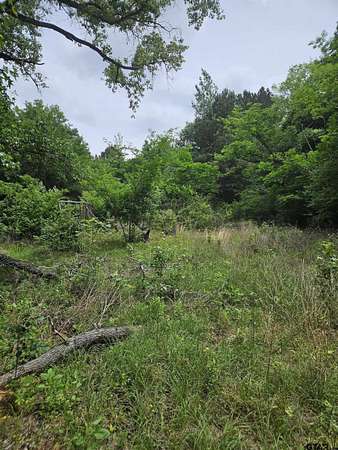 8.84 Acres of Residential Land for Sale in Winona, Texas