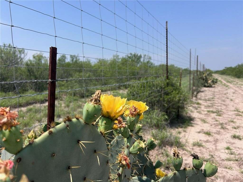 22 Acres of Recreational & Residential Land for Sale in Freer, Texas