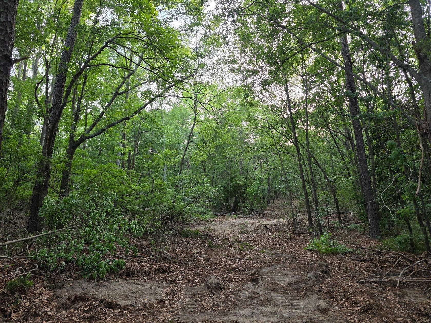 Residential Land for Sale in North Augusta, South Carolina