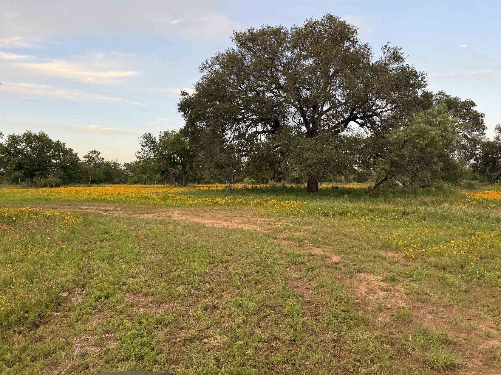 32 Acres of Land for Sale in Marble Falls, Texas