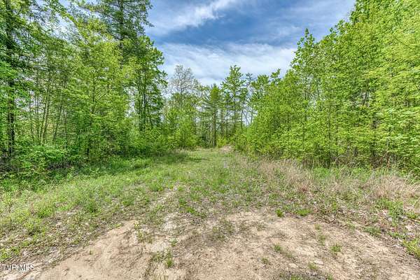 15 Acres of Recreational & Residential Land for Sale in Roan Mountain, Tennessee