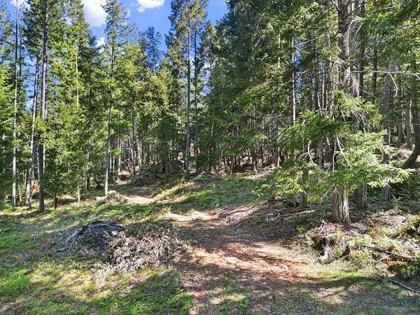 20.4 Acres of Recreational & Residential Land for Sale in Crescent City, California