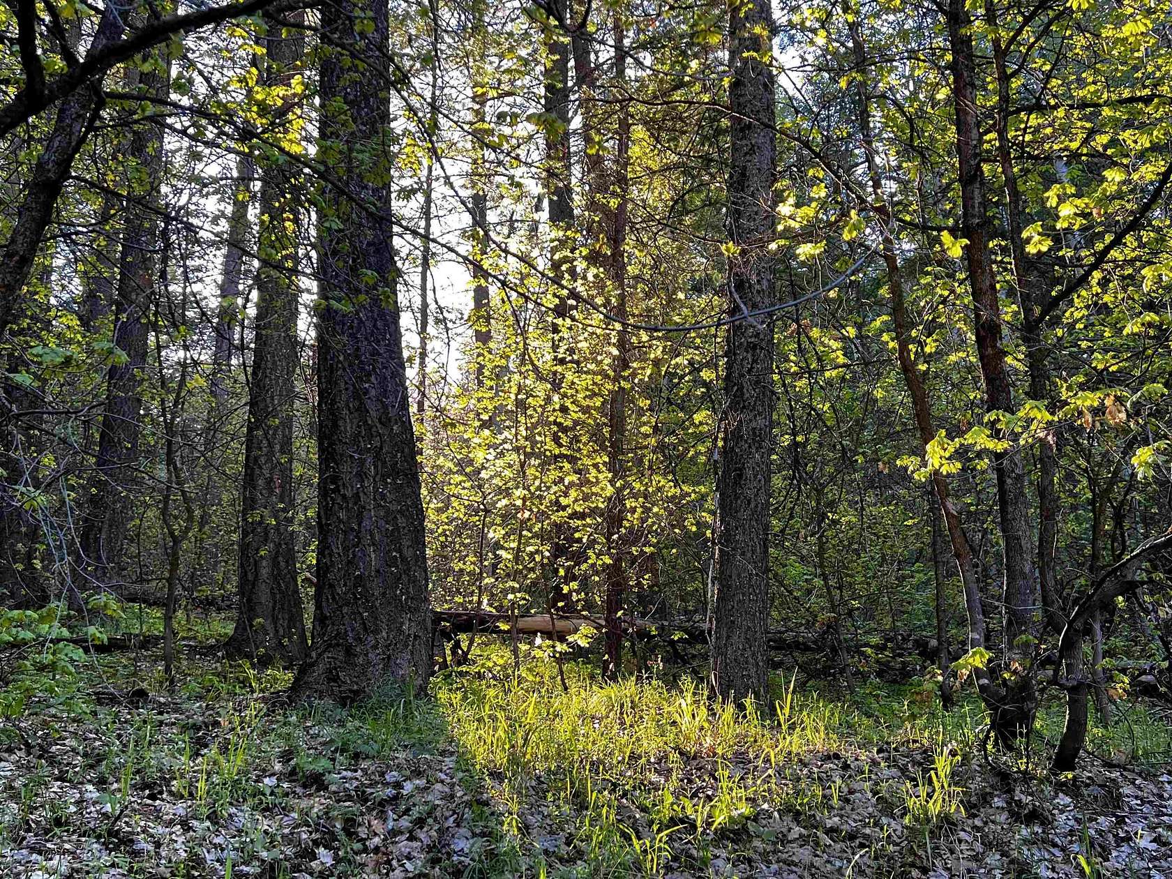 5 Acres of Land for Sale in Lava Hot Springs, Idaho