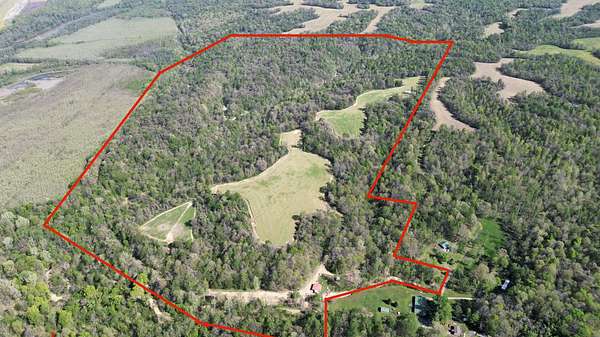 252 Acres of Land for Sale in Bardwell, Kentucky