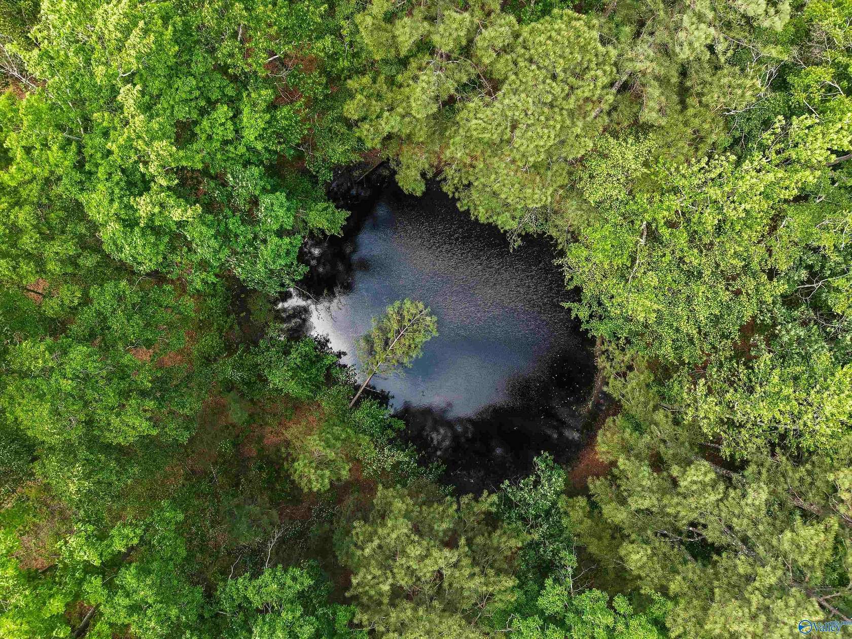 5.75 Acres of Residential Land for Sale in Elkmont, Alabama
