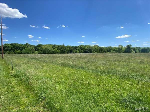 40 Acres of Agricultural & Residential Land for Sale in Evansville, Illinois