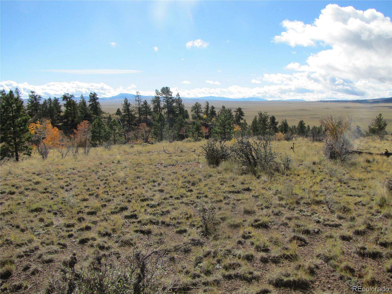 4 Acres of Land for Sale in Hartsel, Colorado