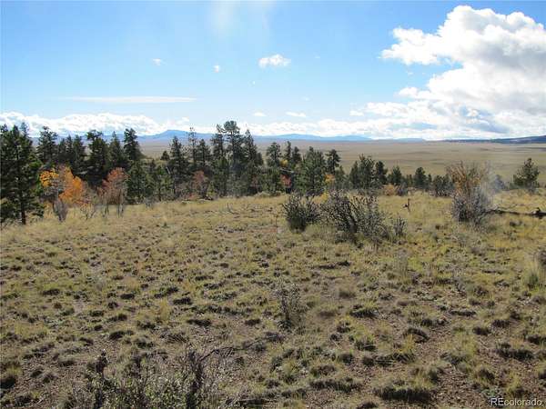 4 Acres of Land for Sale in Hartsel, Colorado