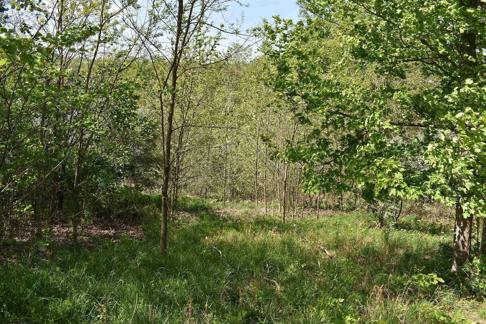 1.38 Acres of Residential Land for Sale in Morgantown, West Virginia
