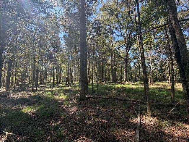 1 Acre of Residential Land for Sale in Hammond, Louisiana