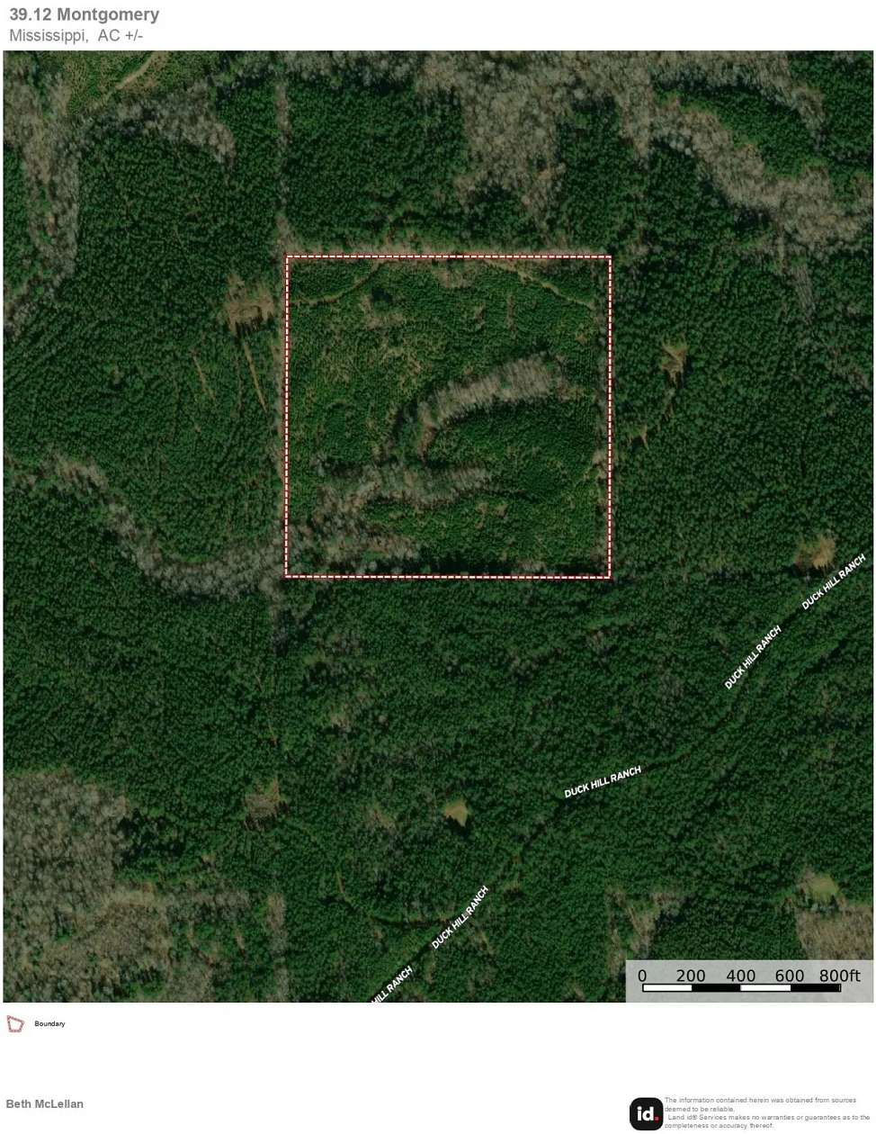39.1 Acres of Recreational Land for Sale in Winona, Mississippi