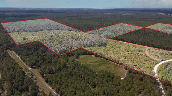 220 Acres of Recreational Land for Sale in Jasper, Florida