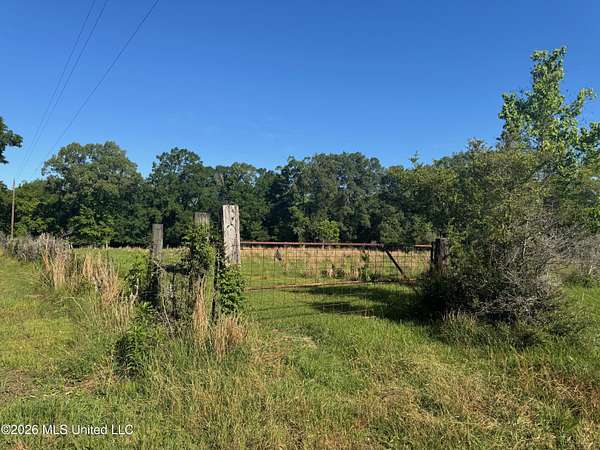 41.9 Acres of Agricultural & Residential Land for Sale in Poplarville, Mississippi