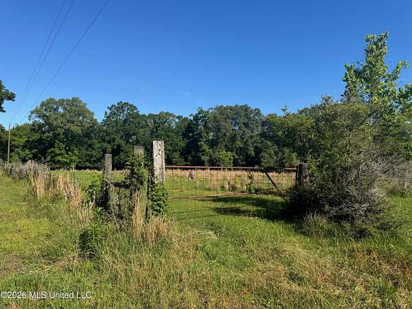 41.9 Acres of Agricultural & Residential Land for Sale in Poplarville, Mississippi