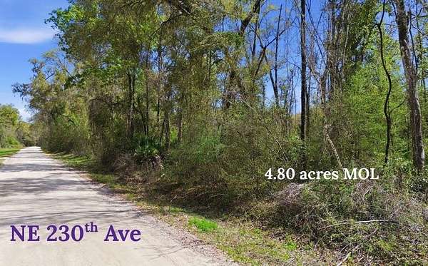 4.8 Acres of Residential Land for Sale in Old Town, Florida