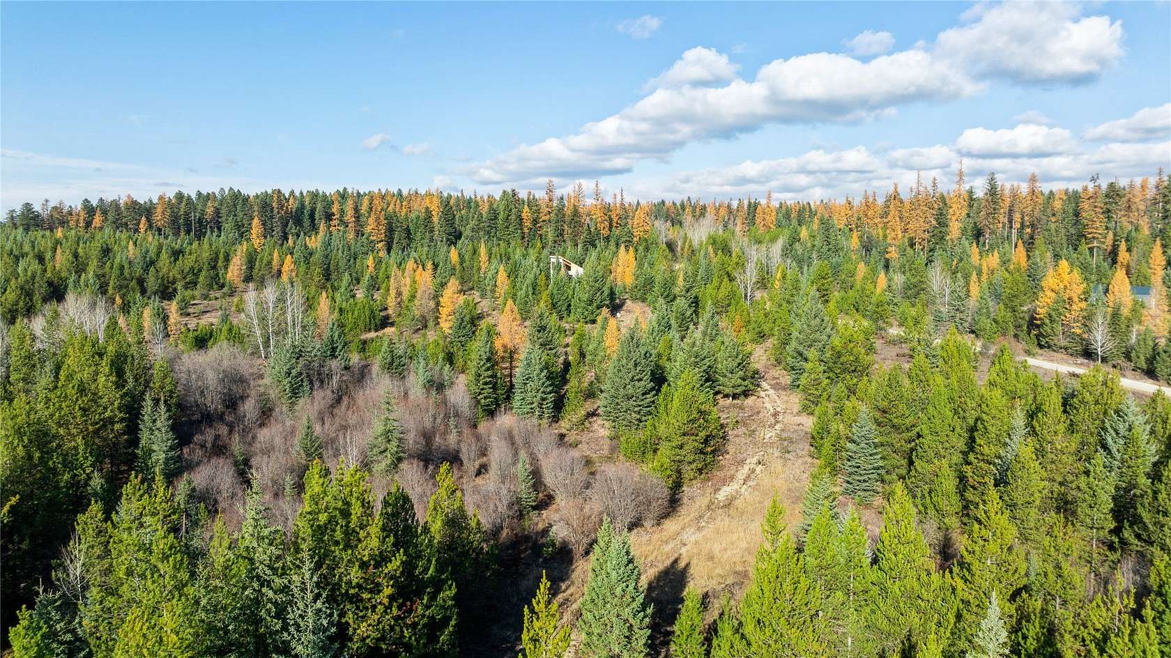 31.8 Acres of Recreational & Residential Land for Sale in Whitefish, Montana