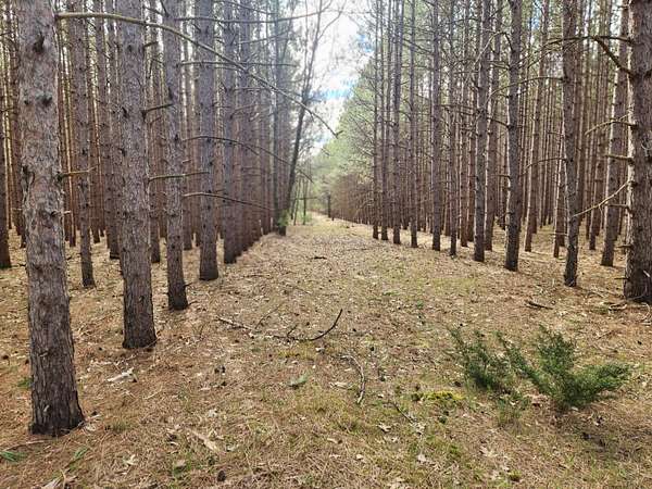 5 Acres of Residential Land for Sale in Manistee, Michigan