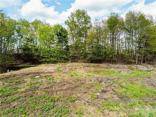 7.9 Acres of Land for Auction in Dundee, Ohio
