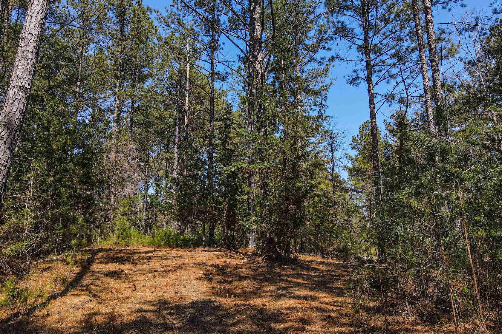 19.6 Acres of Recreational & Residential Land for Sale in Pacolet, South Carolina