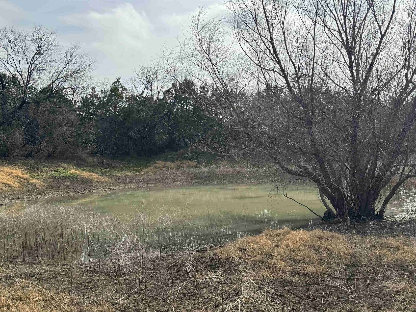 118 Acres of Recreational Land for Sale in Winchell, Texas