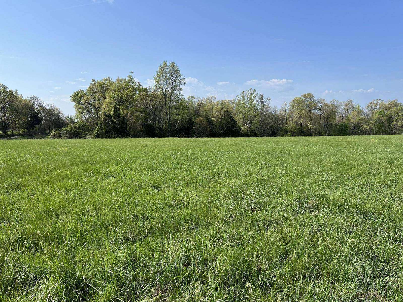 42.2 Acres of Land for Sale in Ava, Missouri