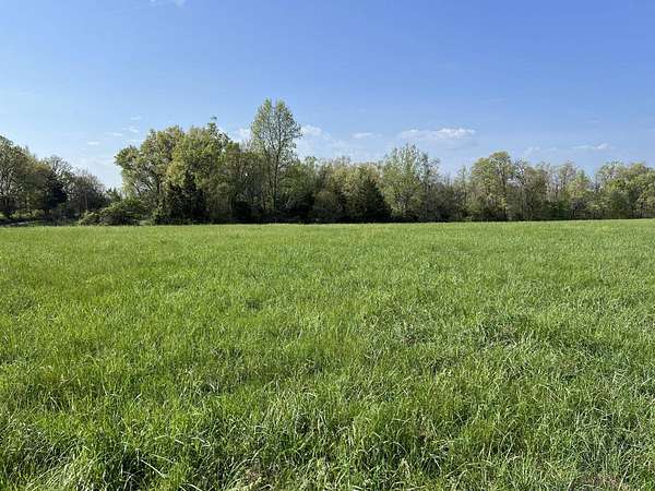 42.2 Acres of Land for Sale in Ava, Missouri