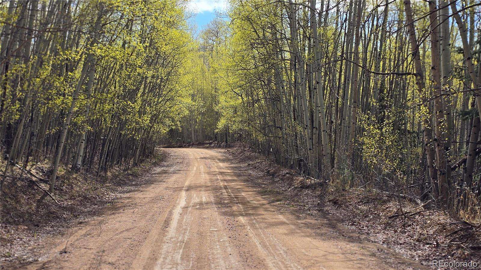 5 Acres of Residential Land for Sale in Fort Garland, Colorado