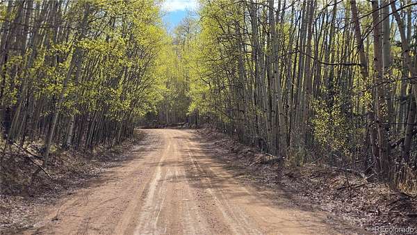 5 Acres of Residential Land for Sale in Fort Garland, Colorado