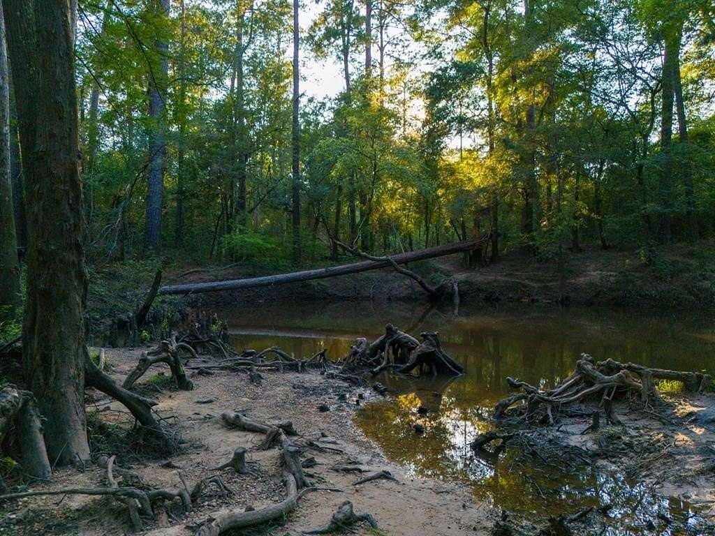 10 Acres of Recreational & Residential Land for Sale in Rye, Texas