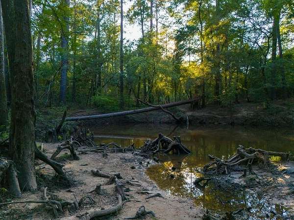 10 Acres of Recreational & Residential Land for Sale in Rye, Texas