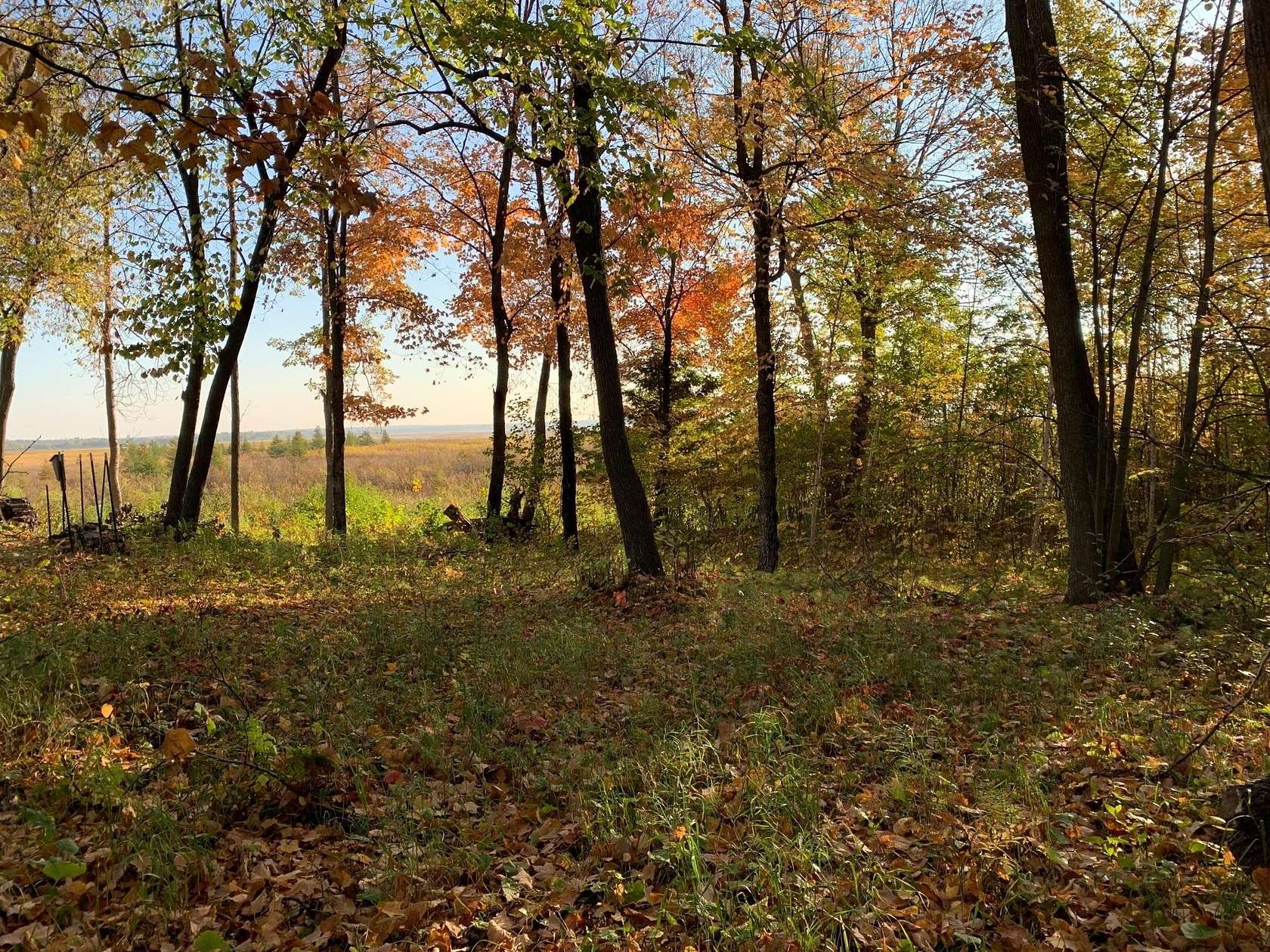 0.5 Acres of Land for Sale in Walker, Minnesota