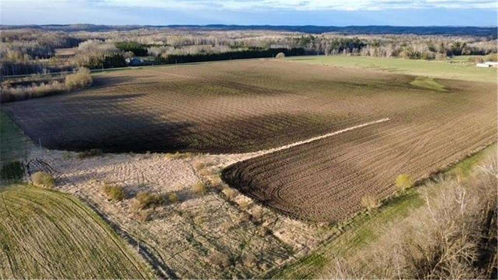 40 Acres of Agricultural Land for Sale in Cushing Township, Minnesota
