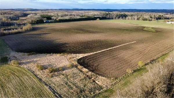 40 Acres of Agricultural Land for Sale in Cushing Township, Minnesota