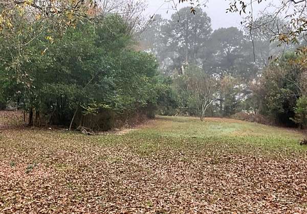0.51 Acres of Residential Land for Sale in Ashburn, Georgia