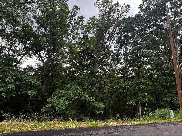 0.3 Acres of Residential Land for Sale in Bella Vista, Arkansas