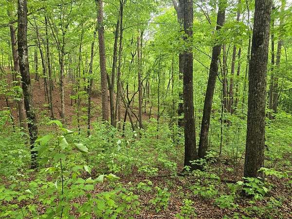 1.13 Acres of Land for Sale in Ellijay, Georgia