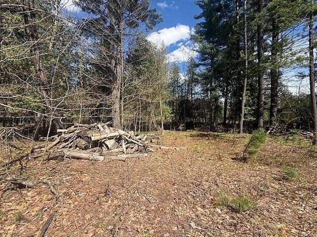 15 Acres of Recreational Land for Sale in Le Roy, Michigan