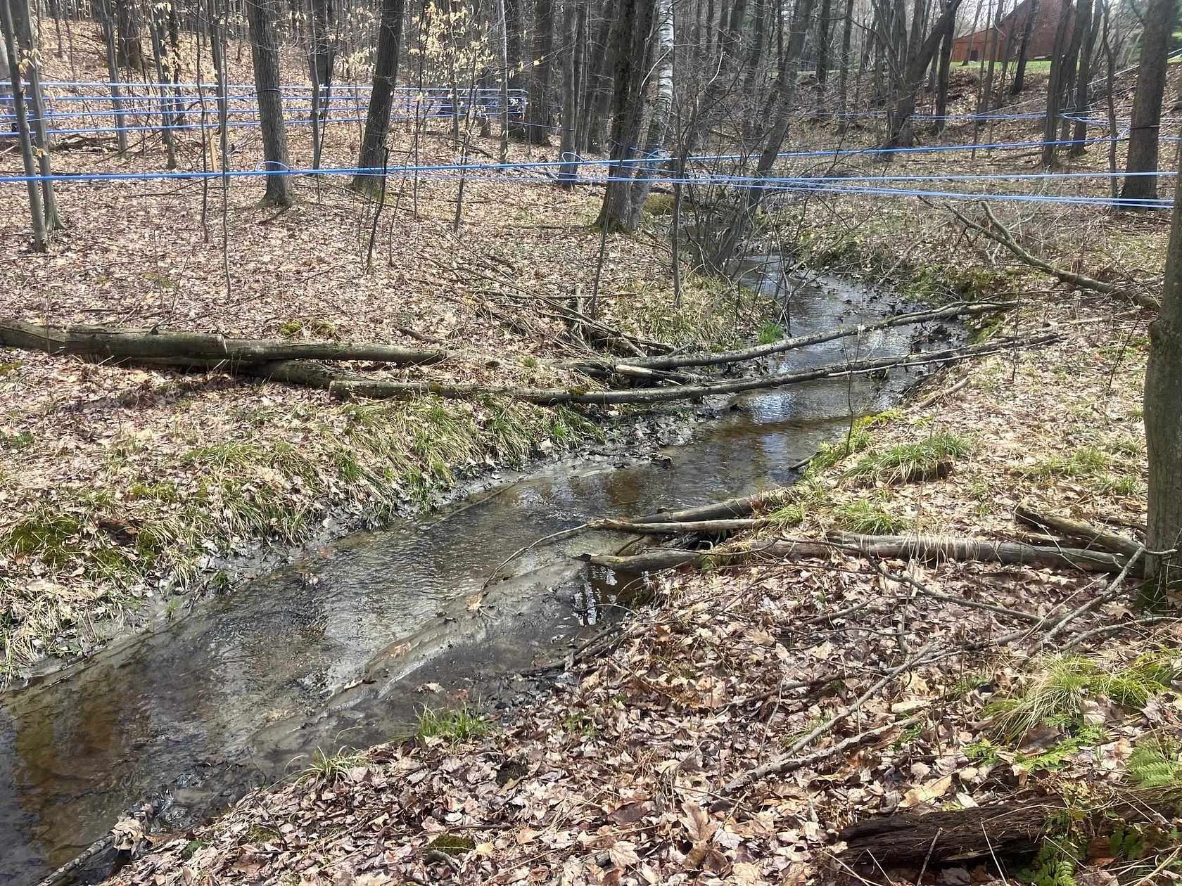 4.67 Acres of Residential Land for Sale in Highgate Town, Vermont